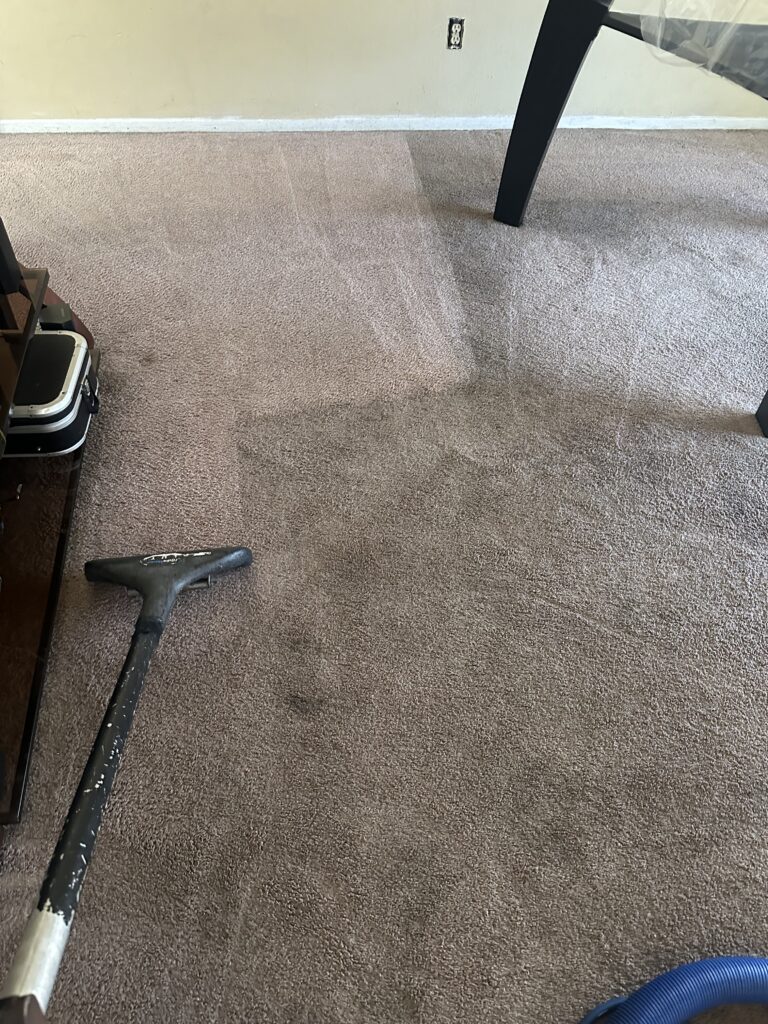 Dirty Carpet