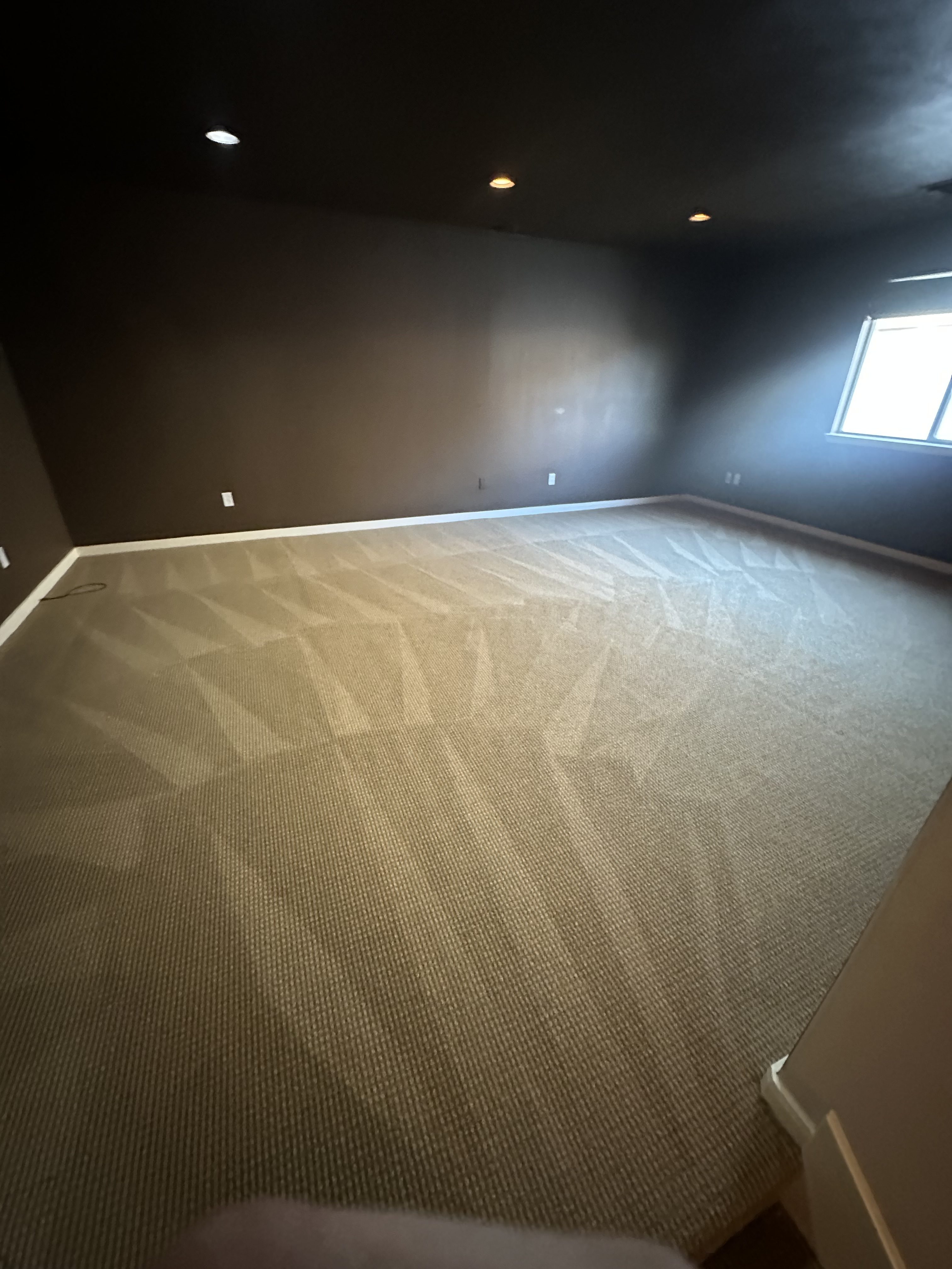 after carpet cleaning