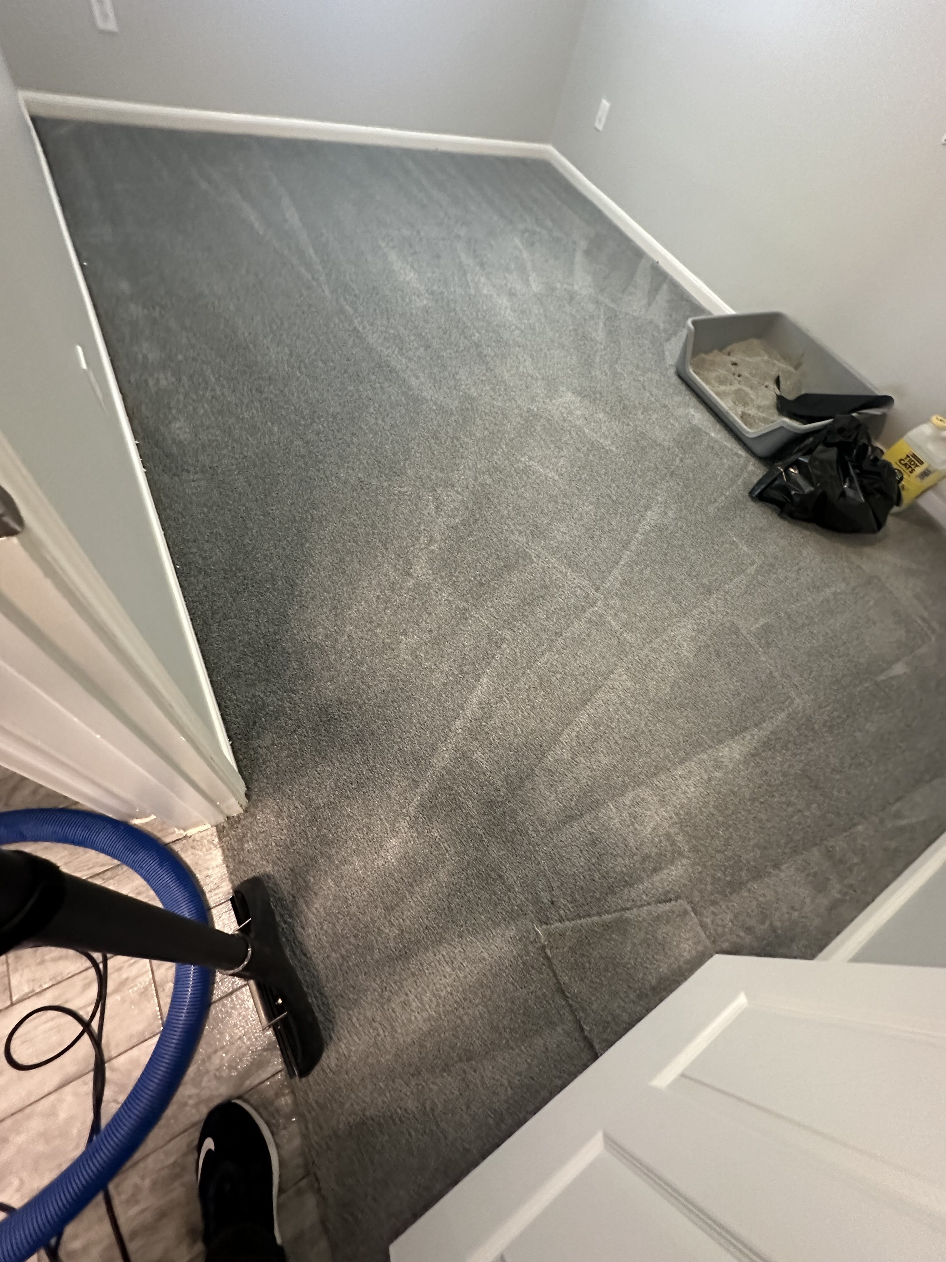 after without pet stain