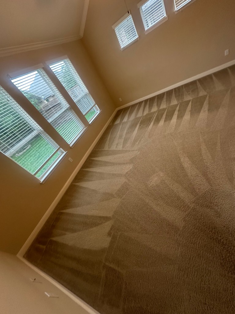 Clean Carpet